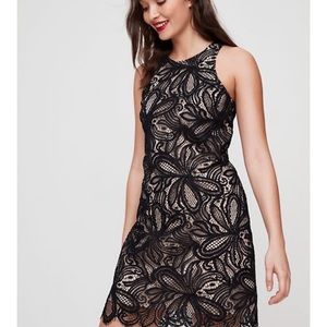 🖤ARITZIA LACE OVERLAY DRESS🖤